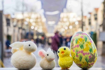 Grande chasse aux œufs de Pâques 🐰 