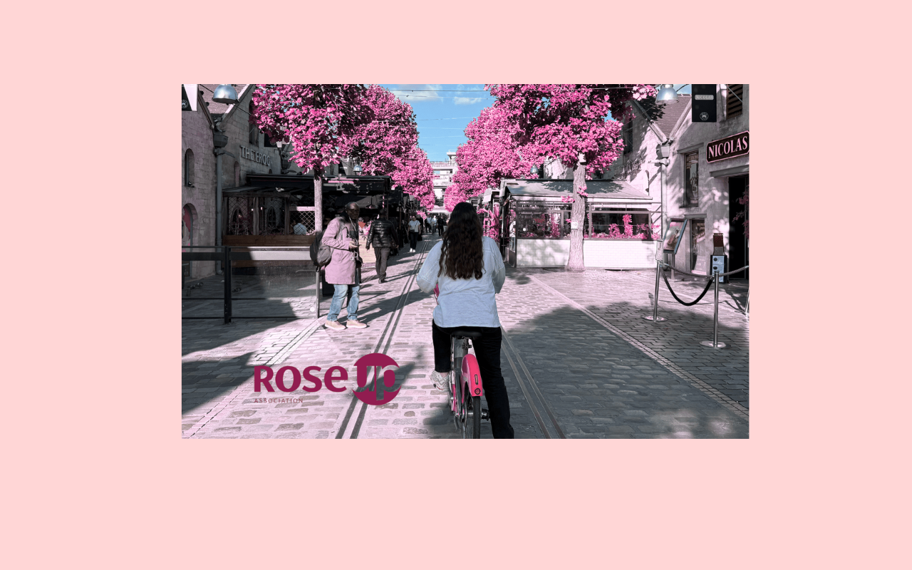 Image banner 1